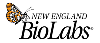 �����~Ӣ�����＼�gNEB New England Biolabs