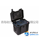 DL-E20智能便攜式聚合物柱型鋰電池20AH便攜式電源