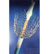 強生 Cordis 外周介入 Cordis鎳鈦支架系統(tǒng) SMART Control Nitinol 