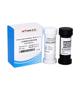 透景腫瘤標(biāo)志物人附睪蛋白4檢測(cè)試劑盒-HE4-96人份-化學(xué)發(fā)光法