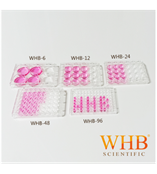 WHB-24 24孔細胞培養(yǎng)板