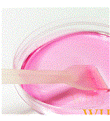 WHB-C21 細胞刮鏟