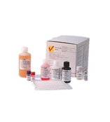 BioChek豬繁殖與呼吸障礙綜合征（PRRS XR）抗體ELISA檢測(cè)試劑盒（480）