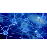 活體示蹤成像服務LS VTI Service