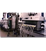 Sepragen����ϵ�y(t��ng)